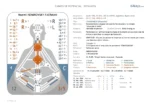 Noemí Diseño Humano